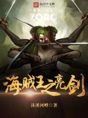 海贼王之亮剑txt下载