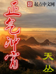 正气冲宵 作者：天丛