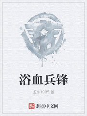 浴血兵锋 作者：丑牛1985