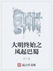 大明终始之风起巴蜀 作者：响木