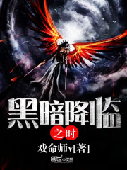 黑暗降临之时txt下载