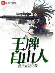 王牌自由人 作者：爱开大差