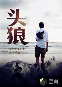 头狼 作者：寻飞