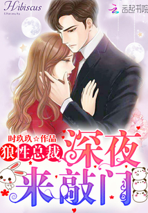 狼性总裁，深夜来敲门 作者：时玖玖