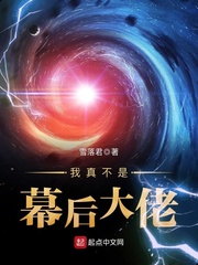 我真不是幕后大佬 作者：雪落君