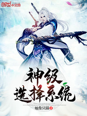 神级选择系统 作者：她像只猫
