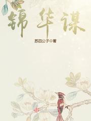 锦华谋 作者：苏四公子