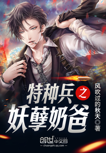 特种兵之妖孽奶爸 作者：风吹过的秋天