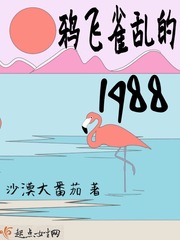 鸦飞雀乱的1988 作者：沙漠大番茄
