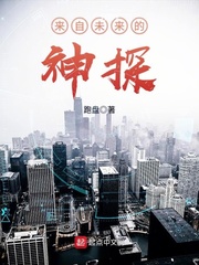 来自未来的神探 作者：跑盘