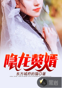 隐龙赘婿 作者：东方城府的猫