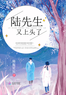 陆先生又上头了 作者：旖旎星辰
