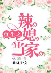 重生之辣媳当家 作者：北湖月