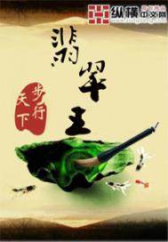 翡翠王》全本 作者：纵横