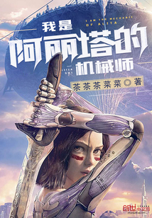 我是阿丽塔的机械师txt下载
