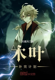 木叶补完计划 作者：天藏风