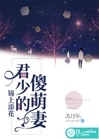 锦上添花：君少的傻萌妻》全本 作者：苏月华