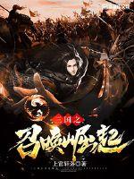 三国之召唤崛起 作者：上官轩洛