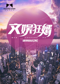 文娱狂婿 作者：剑锋同志