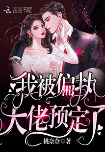 我被偏执大佬预定了 作者：桃奈奈