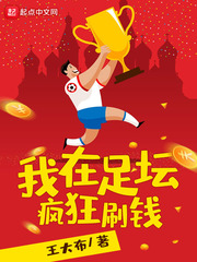 我在足坛疯狂刷钱 作者：王大布