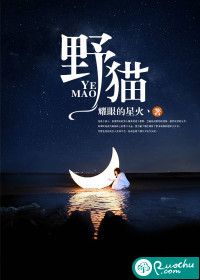 野猫 作者：耀眼的星火丶