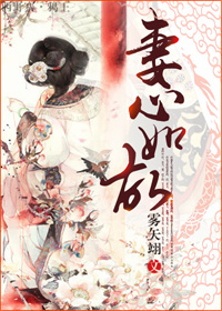 妻心如故 作者：雾矢翊