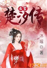 后宫楚汐传 作者：尹沐瑶