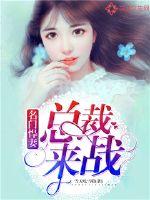 名门悍妻：总裁，来战 作者：雪天吃雪糕