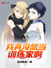 我真没想当训练家啊 作者：北川南海