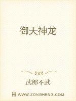 御天神龙 作者：武郎不武