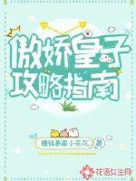 傲娇皇子攻略指南txt下载