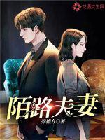陌路夫妻 作者：崇德方