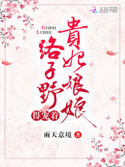 贵妃娘娘路子野得宠着 作者：雨天意境