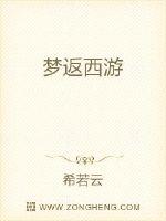梦返西游 作者：希若云