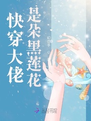 快穿大佬是朵黑莲花 作者：幻恋手