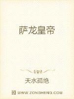 萨龙皇帝 作者：天水孤绝