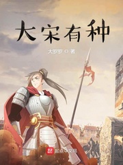 大宋有种 作者：大罗罗