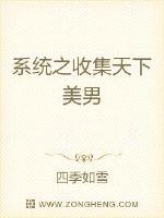 系统之收集天下美男 作者：四季如雪