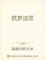 筑梦成塔 作者：留偏分的大米
