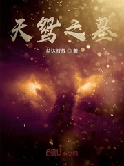 天鸳之墓txt下载