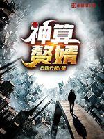 神算赘婿 作者：白露丹阳