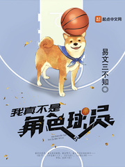 我真不是角色球员 作者：易文三不知