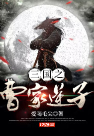 三国之曹家逆子 作者：爱喝毛尖