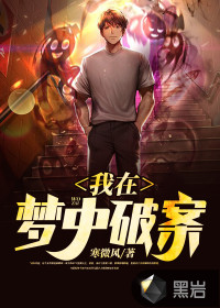 我在梦中破案txt下载