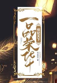 一品荣华：悍妃天下 作者：风光霁月