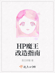 HP魔王改造指南txt下载