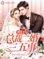 煮妇与总裁二婚三五事 作者：蓝蓝月亮湾