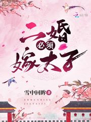 二婚必须嫁太子 作者：雪中回眸