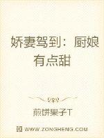 娇妻驾到：厨娘有点甜 作者：煎饼果子T